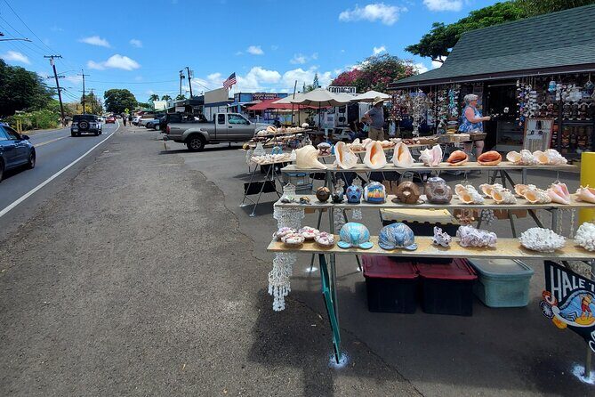 Round Trip North Shore Shuttle from Waikiki to Haleiwa Town / Haleiwa Harbor - Quick practical tips before you go