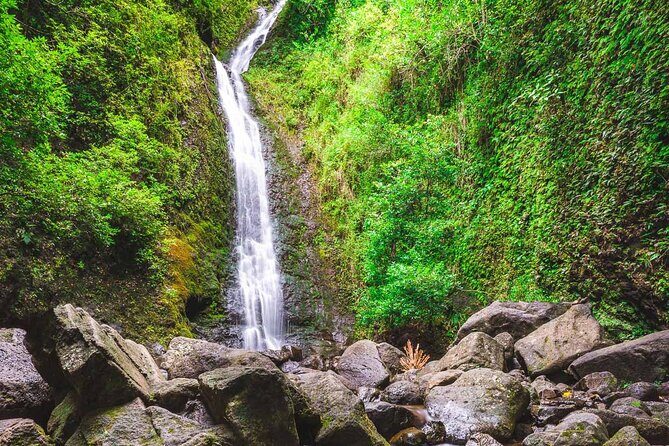Self guided Hike Trail to Nature Walk & Waterfall - The Short Version: A Guided Rainforest Hike That Fits Real Schedules