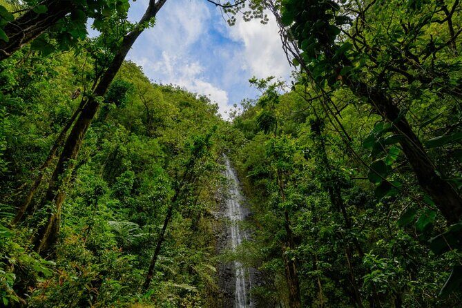 Self guided Hike Trail to Nature Walk & Waterfall - Stop 3: Puu Ualakaa State Park for Diamond Head and Both-Oahu Views