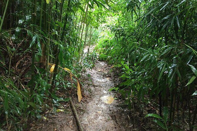 Self guided Hike Trail to Nature Walk & Waterfall - $79 Value Check: What You Get for a Fast 3-Hour Adventure
