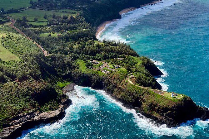 Shared Round-Trip Transfer: Honolulu Airport to Hotel or Cruise Terminal - Where you’ll go: Waikiki, Kahala, Turtle Bay, Ko’olina, and the cruise terminal