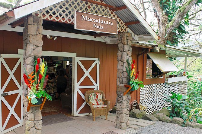 Sights & Bites Ultimate Oahu Circle Island Foodie Tour - Puaʻena Point turtles: the fun stop with a natural wildcard