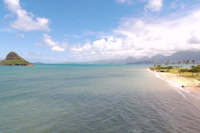 Small Group North Shore Circle Island Tour Oahu - Turtle Beach at Laniakea: the most famous stop isn’t always guaranteed