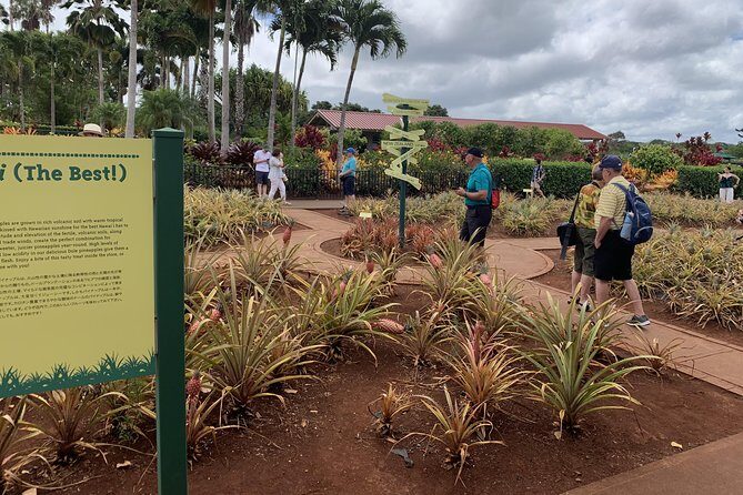 Small Group-Oahu Tour, Dole Plantation, Northshore, Sunset Beach - Aliʻiolani Hale: the Hawaii capitol building symbolism you can spot fast