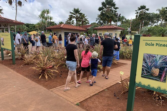 Small Group-Oahu Tour, Dole Plantation, Northshore, Sunset Beach - Punchbowl’s Puowaina: a quiet stop that lands differently
