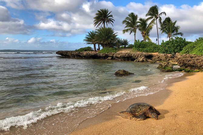 Sunrise Plus Island Tour - Guides, group size, and why it feels personal