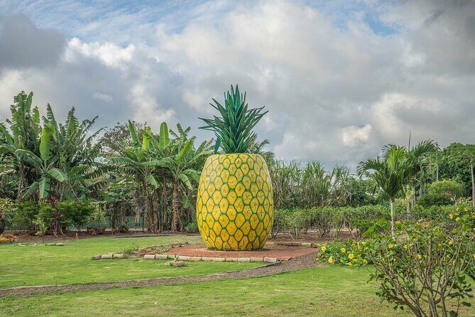 "The Dole Plantation" & "North Shore" Private Limousine VIP Tour! - North Shore Macadamia Nut Company: Fast Tasting, Big Payoff