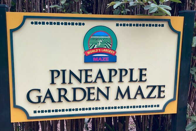 "The Dole Plantation" & "North Shore" Private Limousine VIP Tour! - Should You Book This Dole Plantation and North Shore VIP Limo Tour?
