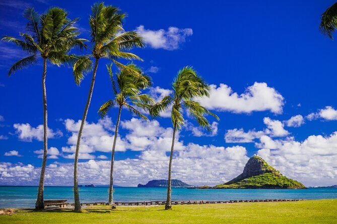 Tour of North Shore & Waimea Waterfall - Sunset Beach and the High-Surf Reality (Oct–Jan)