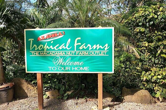 Tour of North Shore & Waimea Waterfall - Why the Guided Narration Often Makes the Day