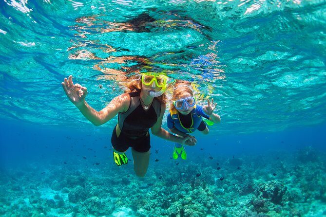 Ultimate Grand Oahu Circle Island Tour with Snorkeling and More - Waikiki pickup times: how to avoid the first-stress-of-the-day feeling