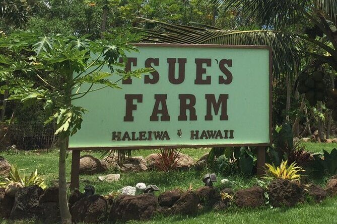Ultimate North Shore Adventure: Full-Day Hawaiian Experience - Waikiki Pickup and the 6–8 Hour North Shore Drive