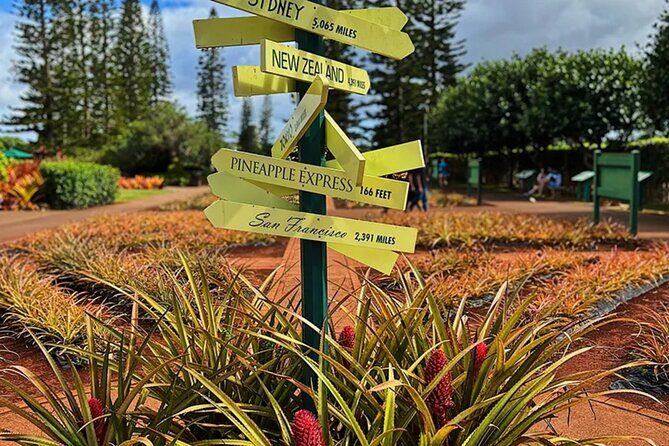 Ultimate North Shore Adventure: Full-Day Hawaiian Experience - North Shore Farm Time: Anahulu River Paddling With Honus Turtles