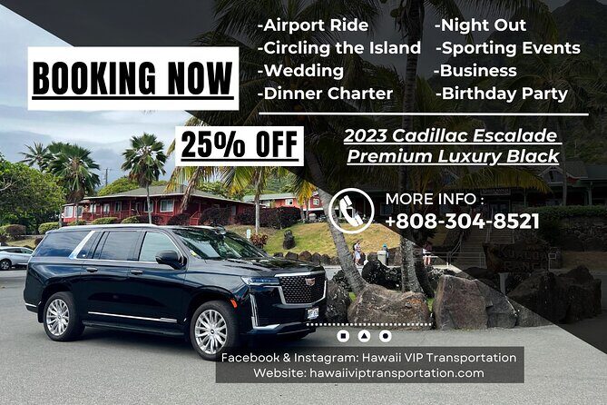 VIP Luxury Transfers: Honolulu Airport ↔ Waikiki ↔ Cruise Port - Airport Arrivals: Where You Meet Changes With Meet & Greet