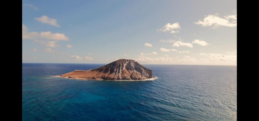 Waikiki: Oahu In a Day Circle Island Tour - North Shore style stops: temples, farms, fruit stands, and shrimp