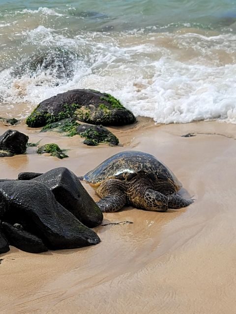Waikiki: Oahu In a Day Circle Island Tour - Waimea Botanical Garden and waterfall: the extra $25 cash call