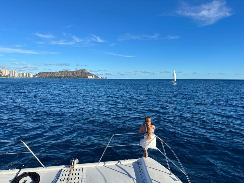 Waikiki: Sea Turtle Snorkeling, Small Group Boat Tour - Wildlife bonus: dolphins, and humpback whales when the season hits