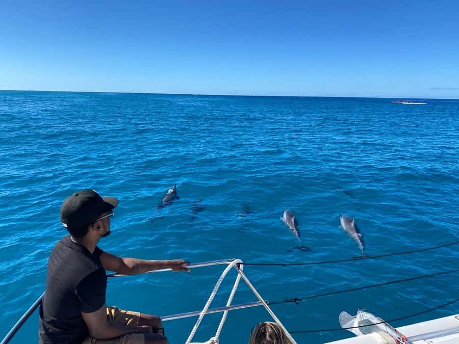 Waikiki: Sea Turtle Snorkeling, Small Group Boat Tour - Diamond Head photo cruise and the finish you’ll appreciate