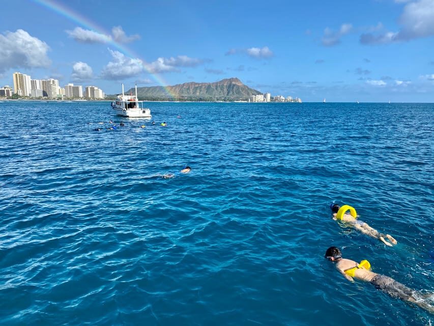 Waikiki: Sea Turtle Snorkeling, Small Group Boat Tour - Price and value: what $116 buys you (and what to budget for)