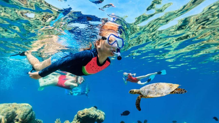 Waikiki: Snorkeling & Ocean Playground Experience - A 55-Foot Double-Deck Catamaran Built for Real Relaxing