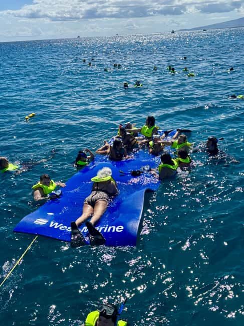Waikiki: Snorkeling & Ocean Playground Experience - Should You Book Waikiki Turtle Snorkel?