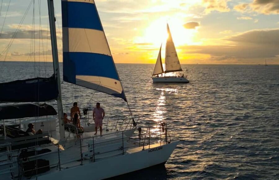 Waikiki: Sunset Swim & Sailing Experience - Meet at Ala Wai Harbor: The Logistics That Save Time and Stress