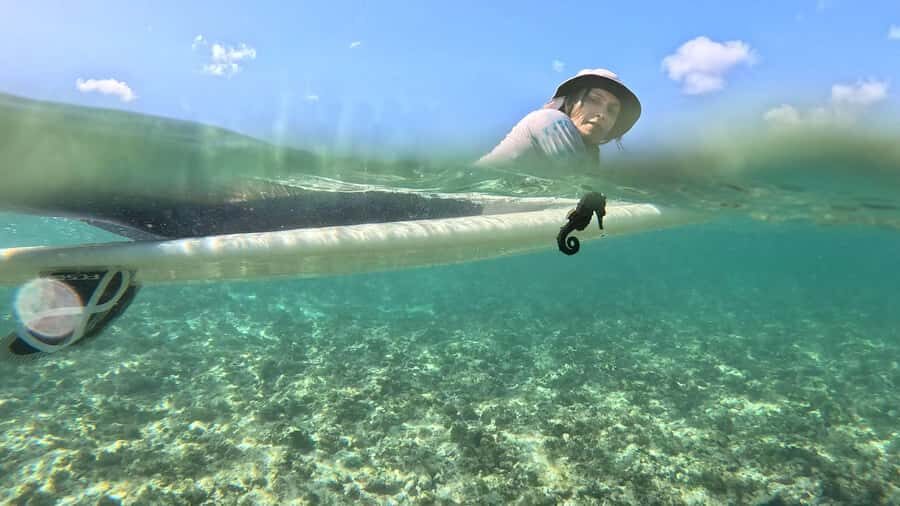 Waikiki: Surf Lessons Easy 60 min classes no crowds! - Key highlights to know before you go