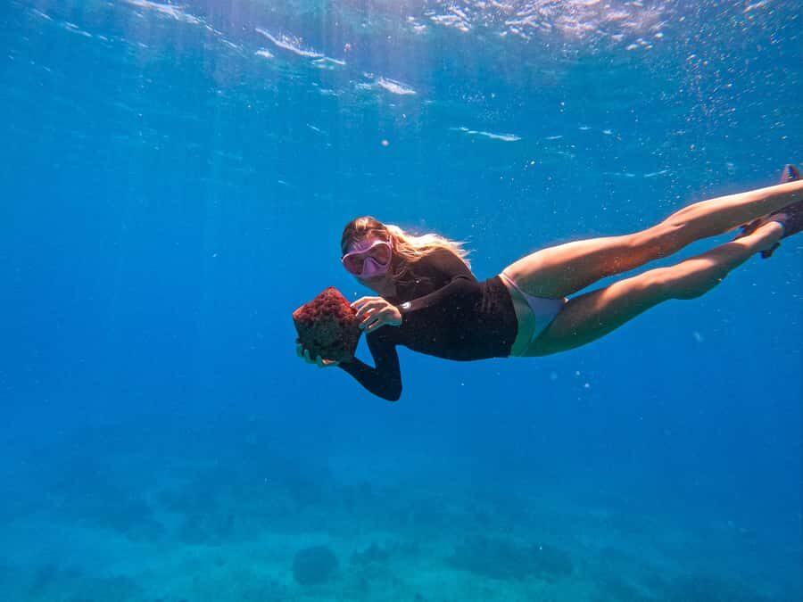 Waikiki: Turtle Canyon Snorkel Tour with Small Group - The fast boat ride: fun, but plan for ocean energy