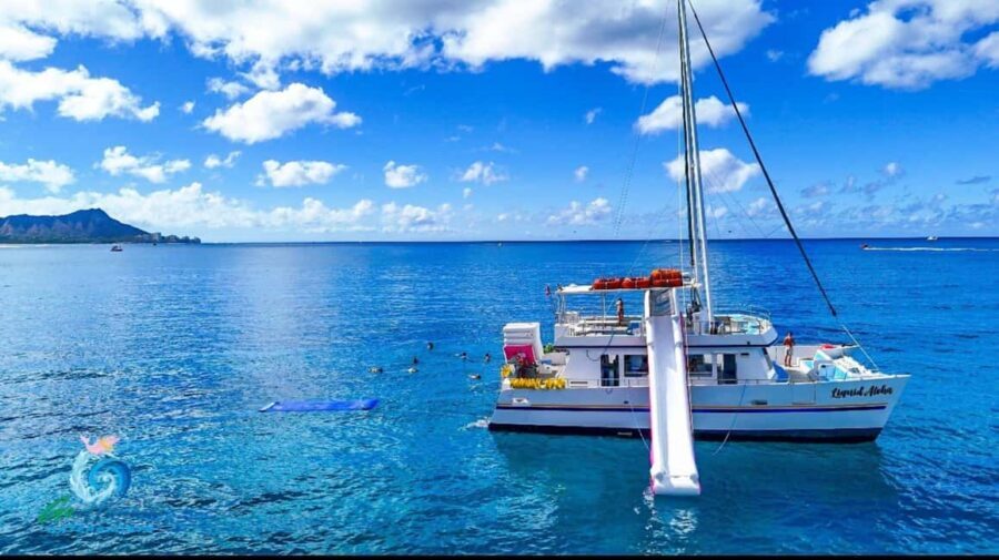 Waikiki Turtle Snorkel Adventure - The Snorkel Time: Gear, Swim-Steps, and a Crew That Guides