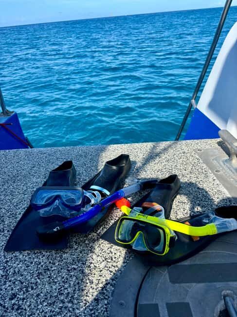 Waikiki Turtle Snorkel Adventure - Who Should Book This Waikiki Turtle Snorkel Adventure