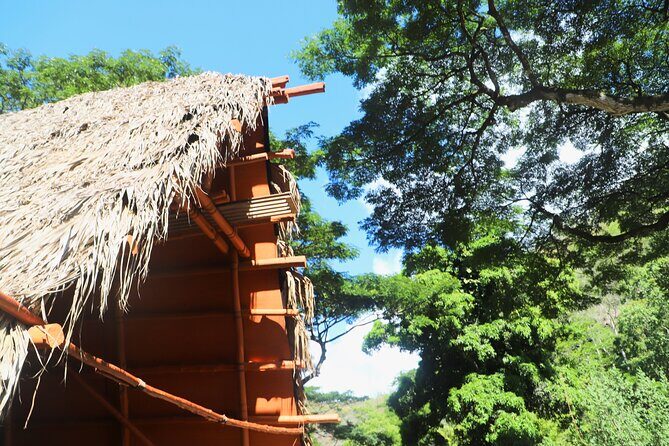 Waimea Valley Waterfall Swim & Dole Plantation Tour with Lunch - Key highlights you’ll actually feel