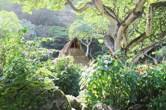 Waimea Valley Waterfall Swim & Dole Plantation Tour with Lunch - Dole Plantation: worth it if you time your expectations