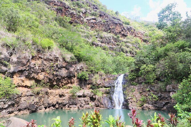 Waimea Valley Waterfall Swim & Dole Plantation Tour with Lunch - Price and value: what you’re paying for (and what you’re not)