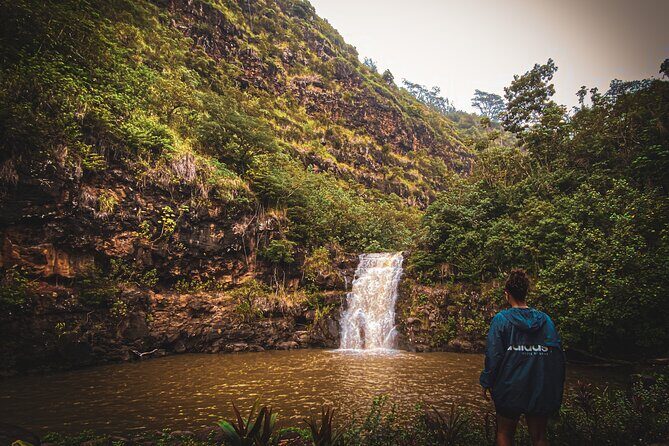 Waterfall Hike in Hawai'i Rainforest Trail - The 3-Hour Format: What That Means for Your Day