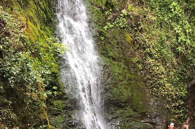 Waterfall Hike , Sightseeing & East Side Beach Day - What the Waterfall Hike + East Side Beach Day Really Feels Like