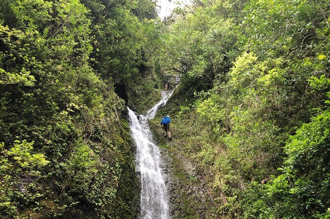 Waterfall Hike , Sightseeing & East Side Beach Day - The Rainforest Waterfall Hike: Where the Day Gets Muddy (In a Good Way)