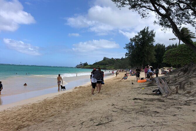 Waterfall Hike , Sightseeing & East Side Beach Day - Lunch Is On You, but the Coast Time Is the Payoff