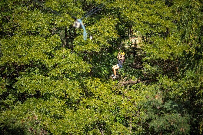 Zip & Dip: Zipline and Wet 'n' Wild Waterpark Combo - Price and value: is $176.03 per person worth it?