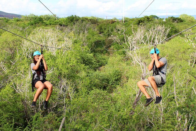 Zip & Dip: Zipline and Wet 'n' Wild Waterpark Combo - Should you book Zip & Dip in Honolulu?